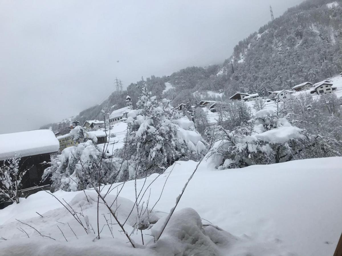 Ustria Crusch Alva Bed & Breakfast Tavanasa Dış mekan fotoğraf
