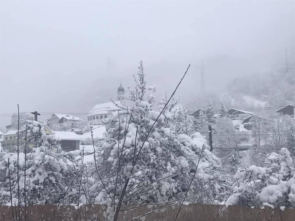 Ustria Crusch Alva Bed & Breakfast Tavanasa Dış mekan fotoğraf