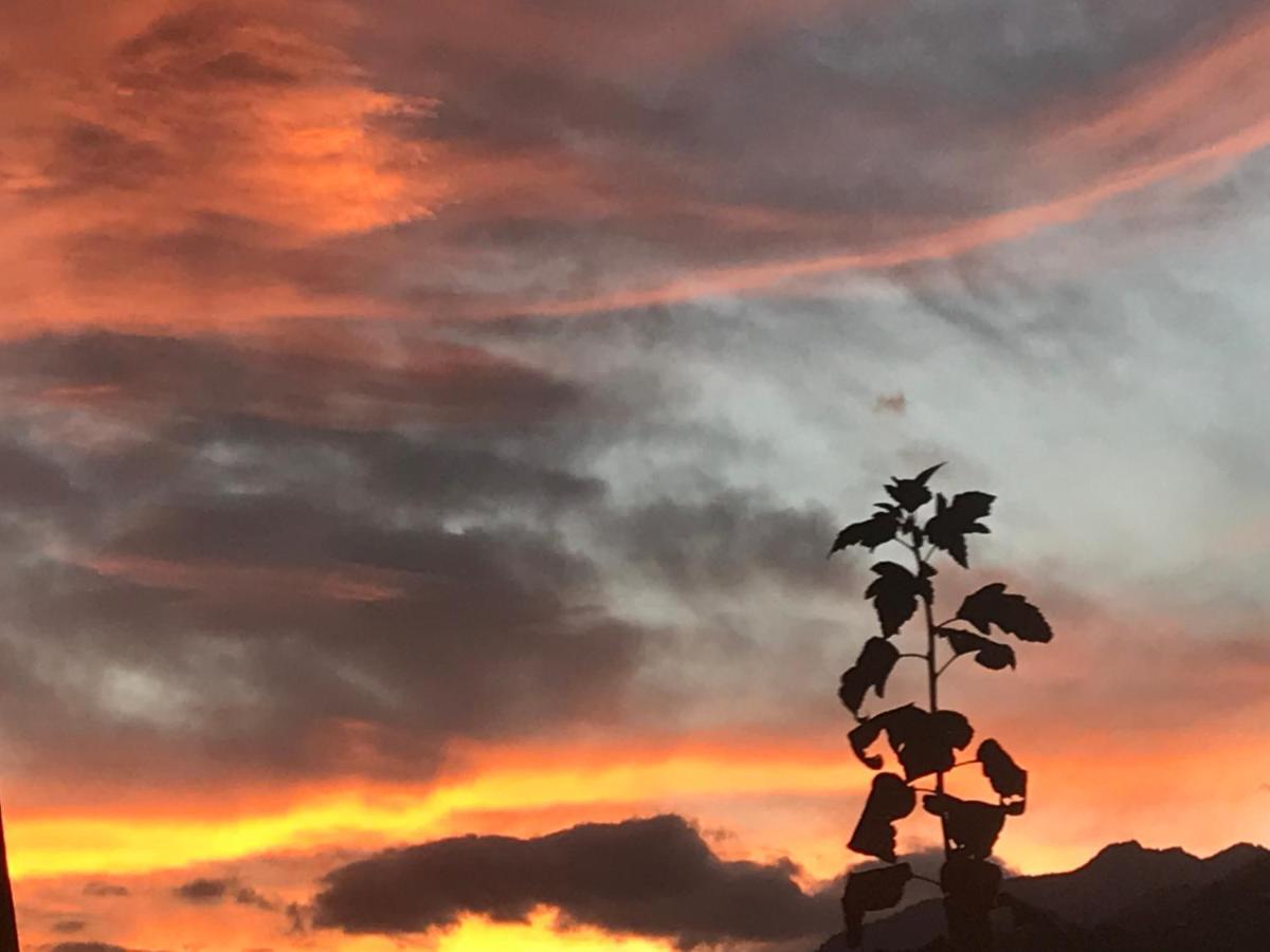 Ustria Crusch Alva Bed & Breakfast Tavanasa Dış mekan fotoğraf