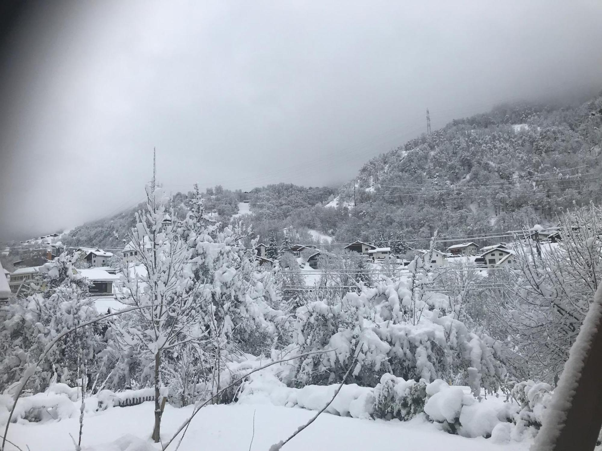 Ustria Crusch Alva Bed & Breakfast Tavanasa Dış mekan fotoğraf
