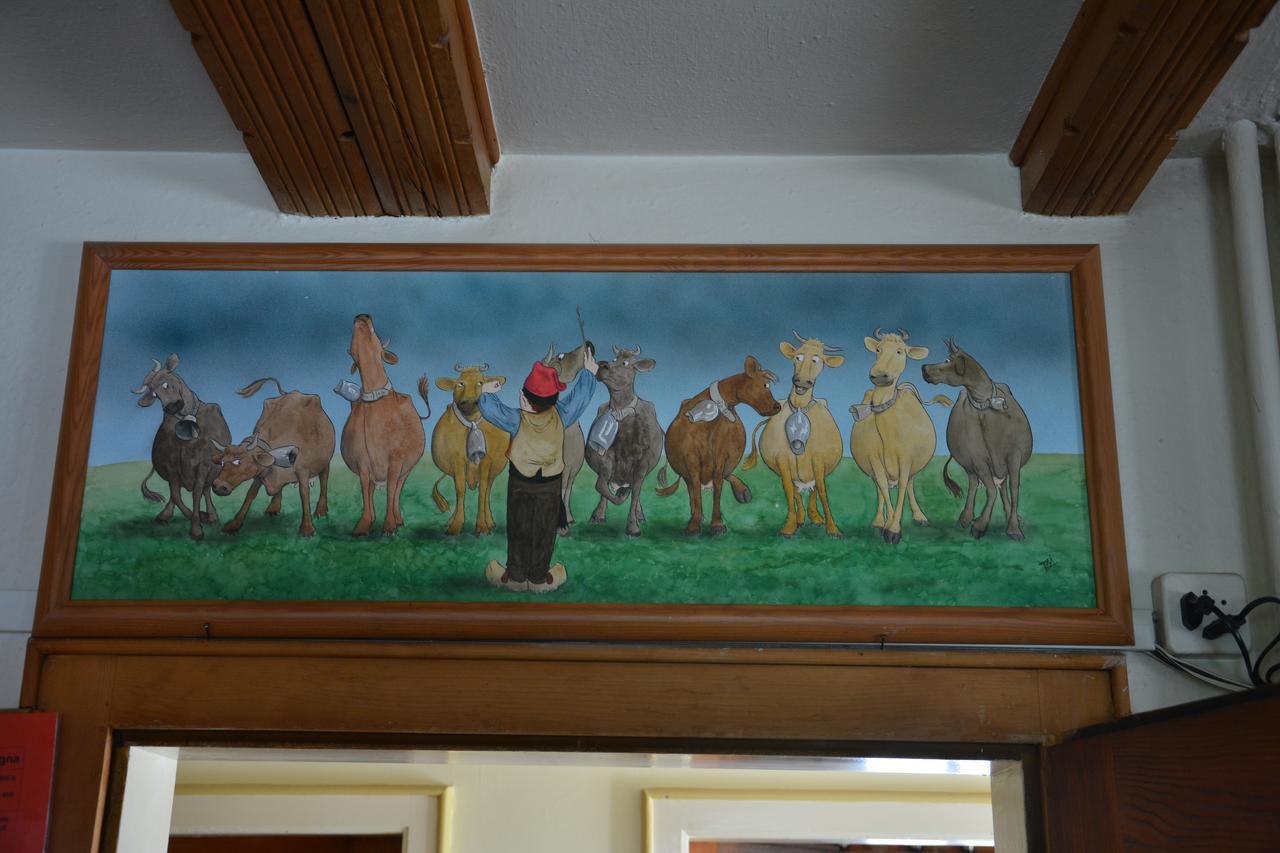 Ustria Crusch Alva Bed & Breakfast Tavanasa Dış mekan fotoğraf